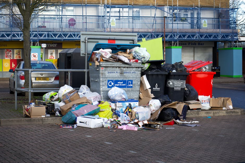 A row of large, rectangular wheelie bins lined up against a brick wall on a residential pavement. The bins are made of durable plastic with textured surfaces and are in various colours including green, blue, red, and dark green, each topped with a matching lid that is closed. They are positioned side by side, with the green and blue bins in the foreground and the red and dark green bins visible further back, creating a visual sequence of waste containers for household rubbish collection. The environment appears to be outdoors in a suburban setting, with soft natural lighting highlighting the different surface textures and contrasting colours of the bins. The scene suggests an organized approach to waste management, potentially related to private or independent rubbish collection services such as those provided by House Clearance Edgware, supporting non-local-authority rubbish disposal or on-site clearance activities.